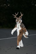 Eurofurence 13