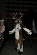 Eurofurence 13