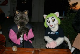 Eurofurence 13