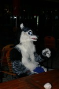 Eurofurence 13