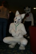 Eurofurence 13