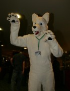 Eurofurence 13