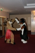 Eurofurence 13