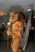 Eurofurence 13