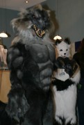 Eurofurence 13