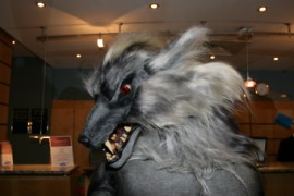 Eurofurence 13