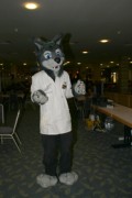 Eurofurence 13