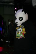 Eurofurence 13