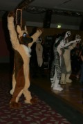 Eurofurence 13