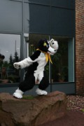 Eurofurence 13