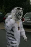 Eurofurence 13