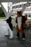 Eurofurence 13