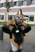 Eurofurence 13