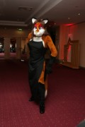 Eurofurence 13