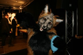 Eurofurence 13