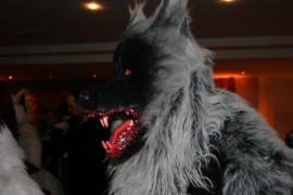 Eurofurence 13