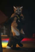 Eurofurence 13