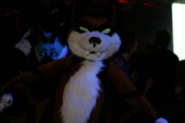 Eurofurence 13