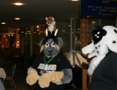 Eurofurence 13