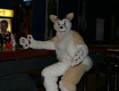 Eurofurence 13