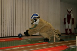Eurofurence 13