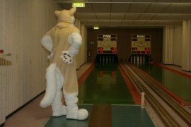 Eurofurence 13