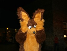 Eurofurence 14