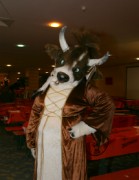 Eurofurence 14