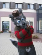 Eurofurence 14