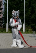 Eurofurence 14