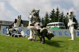 Eurofurence 14