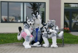 Eurofurence 14