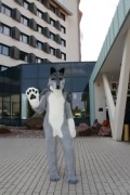 Eurofurence 14