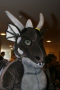 Eurofurence 14