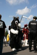 Eurofurence 14