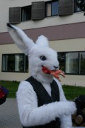 Eurofurence 14