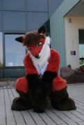 Eurofurence 14