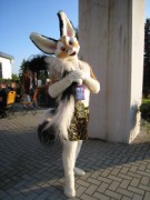 Eurofurence 14