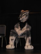 Eurofurence 14