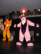 Eurofurence 14