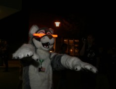 Eurofurence 14