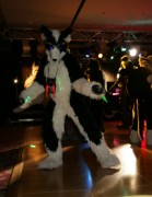 Eurofurence 14