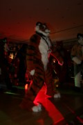 Eurofurence 14