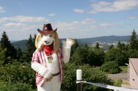 Eurofurence 14