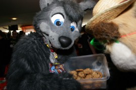 Eurofurence 14