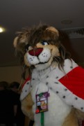 Eurofurence 14