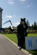 Eurofurence 14