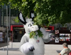 Eurofurence 14