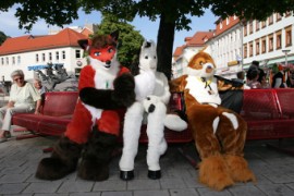 Eurofurence 14