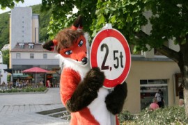 Eurofurence 14